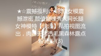 ★☆震撼福利☆★顶级女模震撼泄密 颜值巅峰秀人网长腿女神模特【浅浅】私拍视图流出，肉丝无内透毛黑森林露点粉乳头 (3)