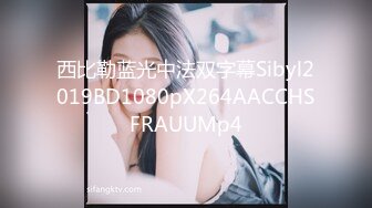 西比勒蓝光中法双字幕Sibyl2019BD1080pX264AACCHSFRAUUMp4