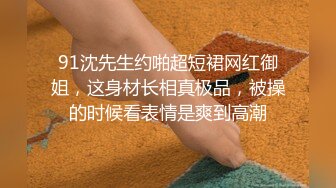 开车到户外玩鸡鸡游戏