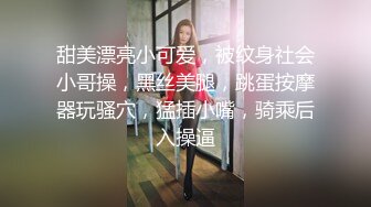 麻豆传媒 MD0261 偷情俏丽人妻 放进去一下下就好