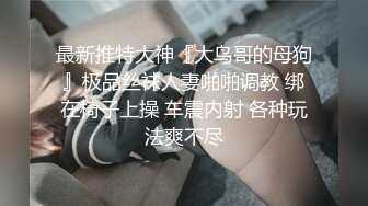 小姐姐，一把豪乳手感极佳，风月老手调情在线教学