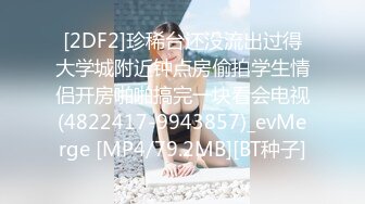 放浪传媒FX-0017淫荡母狗的极致调教