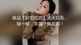 极品【哈密瓜奶】大大巨乳，球一样，车震，爽死啦！