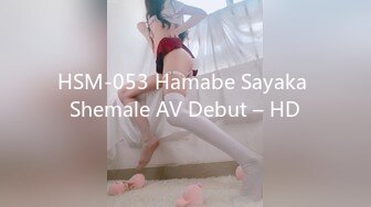 HSM-053 Hamabe Sayaka Shemale AV Debut – HD