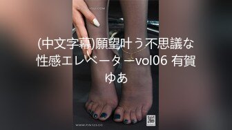 (中文字幕)願望叶う不思議な性感エレベーターvol06 有賀ゆあ