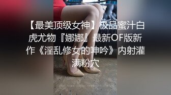 【精品推荐】WENSE摄影很有肉感的模特妹子鱼鱼酒店大尺度私拍