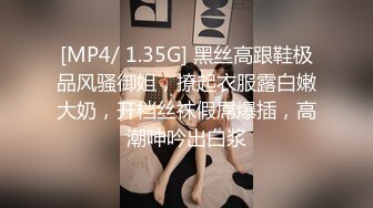 [MP4/ 1.35G] 黑丝高跟鞋极品风骚御姐，撩起衣服露白嫩大奶，开档丝袜假屌爆插，高潮呻吟出白浆