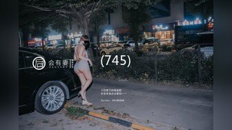 骚货女仆在窗边