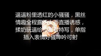 逼逼粉里透红的小骚骚，黑丝情趣全程露脸大秀直播诱惑，揉奶玩逼给狼友看特写，单指插入表情好骚呻吟可射