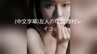 その义母、过去あり。～知られざる美人継母奴●调教～ 佐藤エル