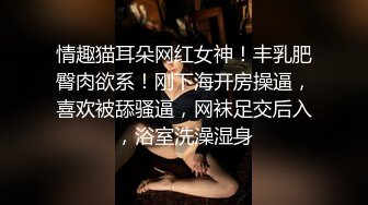 酒店餐厅女厕偷拍 拎包少妇的极品馒头B