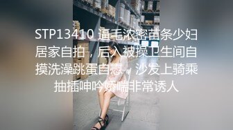 STP13410 逼毛浓密苗条少妇居家自拍，后入被操卫生间自摸洗澡跳蛋自慰，沙发上骑乘抽插呻吟娇喘非常诱人