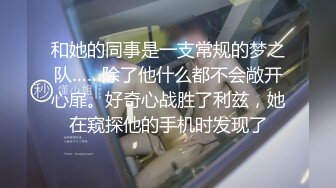 和她的同事是一支常规的梦之队……除了他什么都不会敞开心扉。好奇心战胜了利兹，她在窥探他的手机时发现了