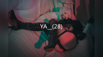 YA__(28)