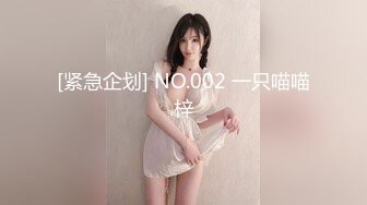 国产麻豆AV MTVQ17 寻宝吧女神 EP3 AV篇 黑暗中的玩具地狱 凌薇