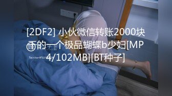 [2DF2] 小伙微信转账2000块干的一个极品蝴蝶b少妇[MP4/102MB][BT种子]