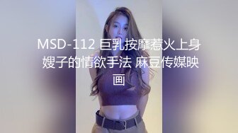 MSD-112 巨乳按摩惹火上身 嫂子的情欲手法 麻豆传媒映画