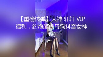 【重磅核弹】大神 轩轩 VIP福利，约炮颜值母狗抖音女神 (2)