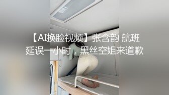 【AI换脸视频】张含韵 航班延误一小时，黑丝空姐来道歉