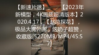 【新速片遞】 ⭐⭐⭐【2023年新模型，4K画质超清版本】2020.4.17，【赵总探花】，极品大胸外围，这奶子超赞，收藏版[5270MB/MP4/45:57]