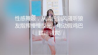 后入精品合辑，第二部