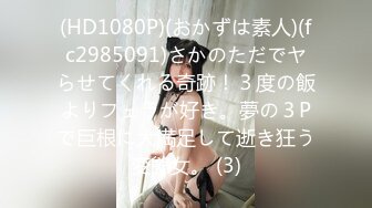 (HD1080P)(おかずは素人)(fc2985091)さかのただでヤらせてくれる奇跡！３度の飯よりフェラが好き。夢の３Pで巨根に大満足して逝き狂う変態女。 (3)