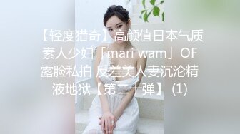 最新AO籍华人夫妻【 Happy-Sofia-Nana】收费VIP视图福利 (17)