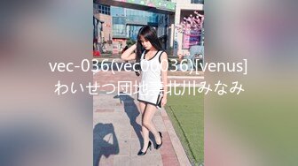 vec-036(vec00036)[venus]わいせつ団地妻北川みなみ