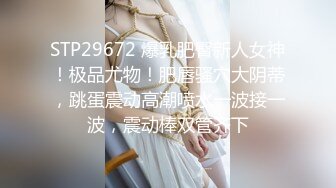 魔镜号～巨乳ＯＬ的情色健检 2