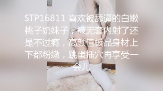 后入骚比