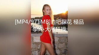 [MP4/324MB]小姐姐约炮记录人生得意须尽欢，特意穿上空姐装来满足领导的制服嗜好