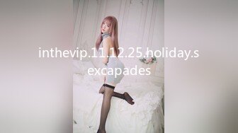 inthevip.11.12.25.holiday.sexcapades