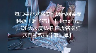 爆顶身材水嫩美乳极品网黄福利姬「姬子猫」「Hime Tsu」OF大尺度私拍 白虎名器肛穴自慰双插【第一弹】