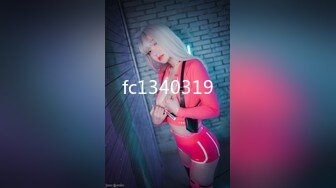 fc1340319