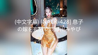 (中文字幕) [NACR-428] 息子の嫁を妄想で… 緑川みやび