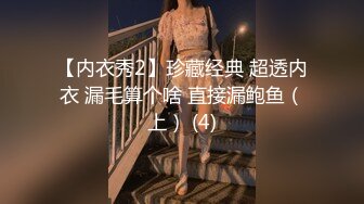 【内衣秀2】珍藏经典 超透内衣 漏毛算个啥 直接漏鲍鱼（上） (4)